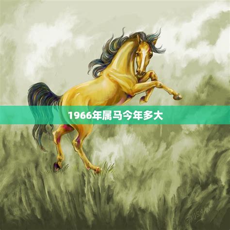 1966馬五行|1966年属马人五行属什么 66年生肖马五行属于什么